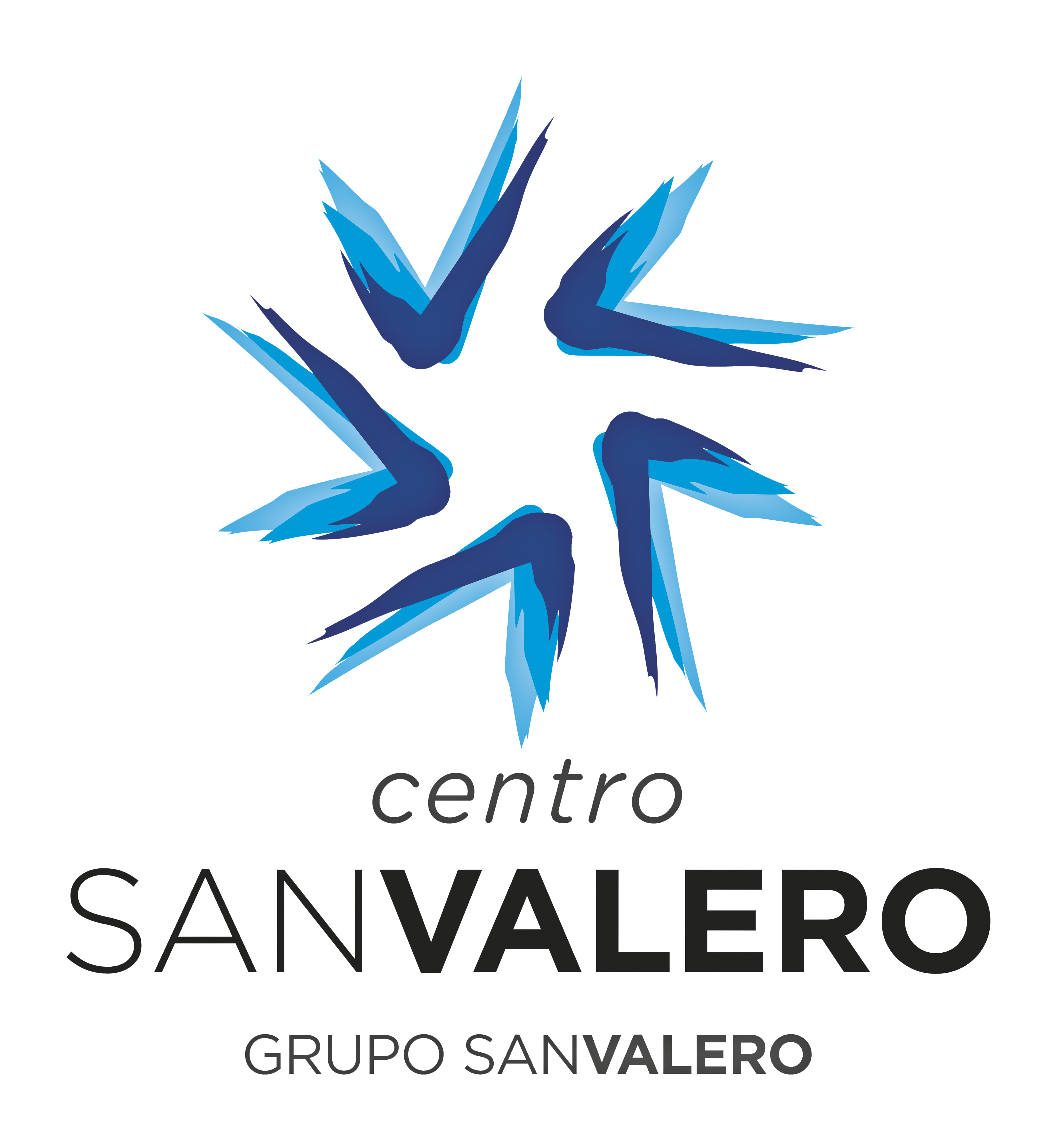 CENTRO SAN VALERO